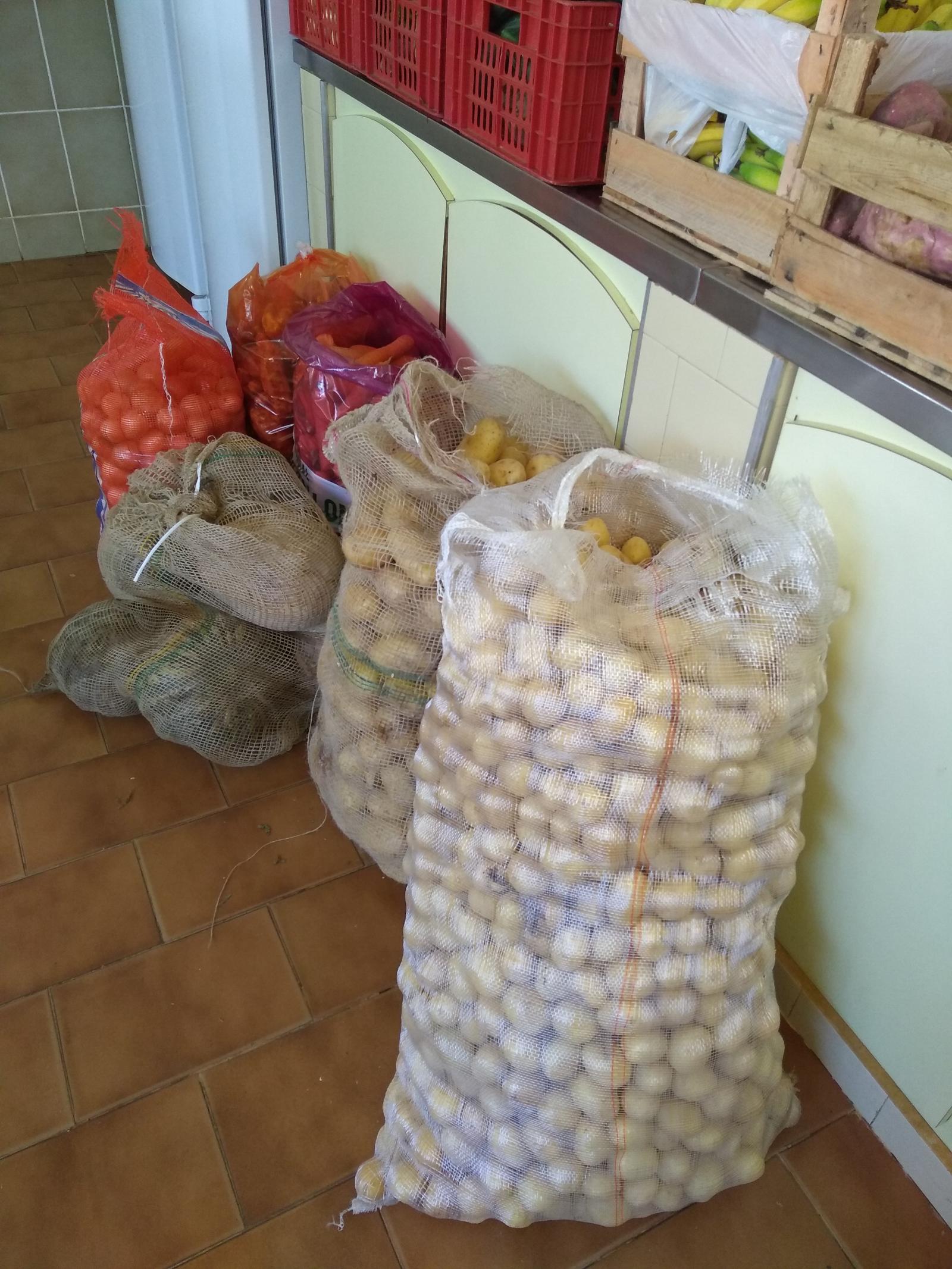 DOAÇÃO DE GÊNEROS ALIMENTÍCIOS